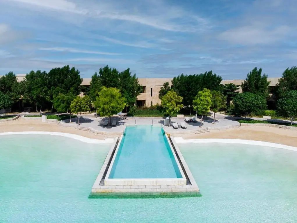 德国对阿根廷球队,德国对阿根廷