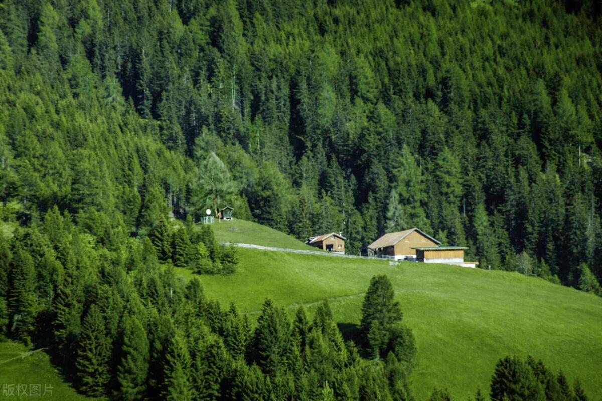 追女生要说多少情话才能追到,追女生常说这三句情话就能追到她