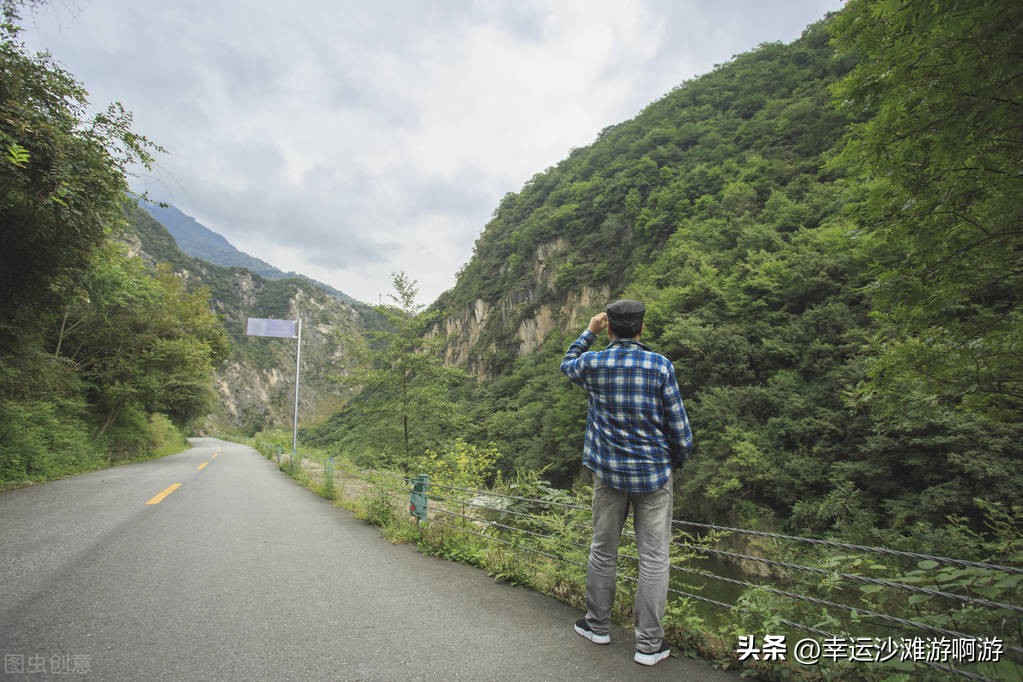 你看过海豚跃起的瞬间吗,你见过海豚湾吗