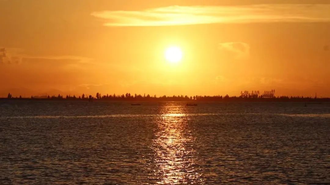 回到早睡早起的日子,回老家朝九晚五