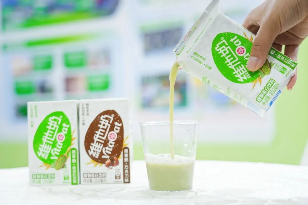 苏强维他奶,维他奶苏强