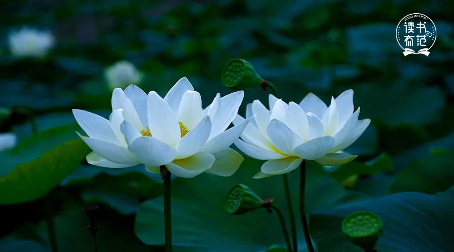 人生的三次觉醒全文,人生的三次觉醒国学智慧