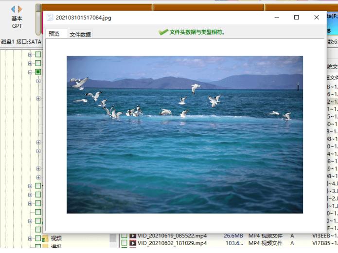 硬盘维修与数据恢复,移动硬盘的数据恢复