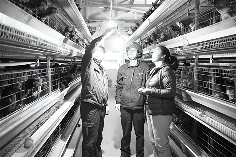 科技日报：青海海东乐都区：特色农业把高原荒山变成“金窝窝”