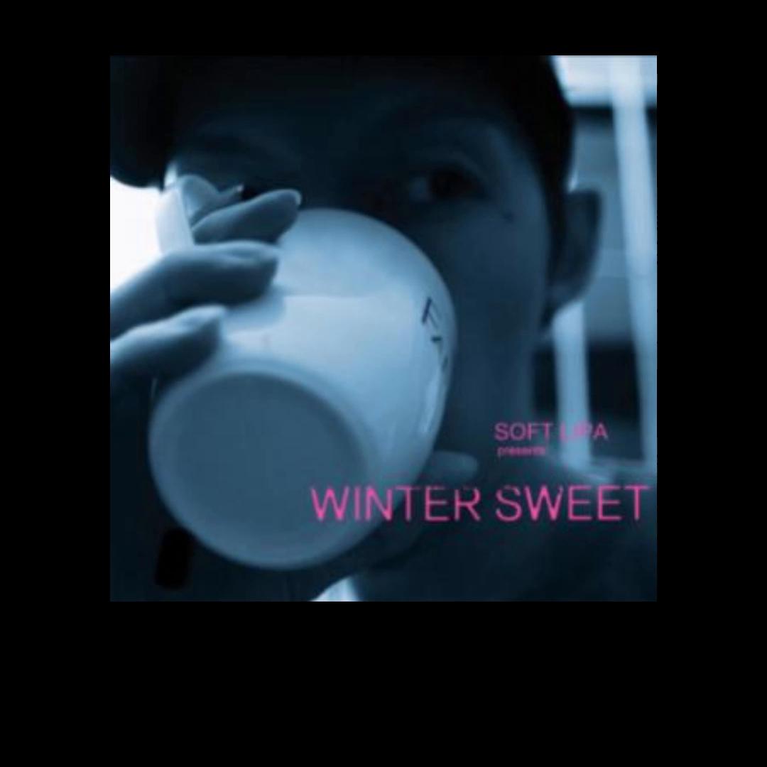 高中听的歌曲,中学时最喜欢听的歌