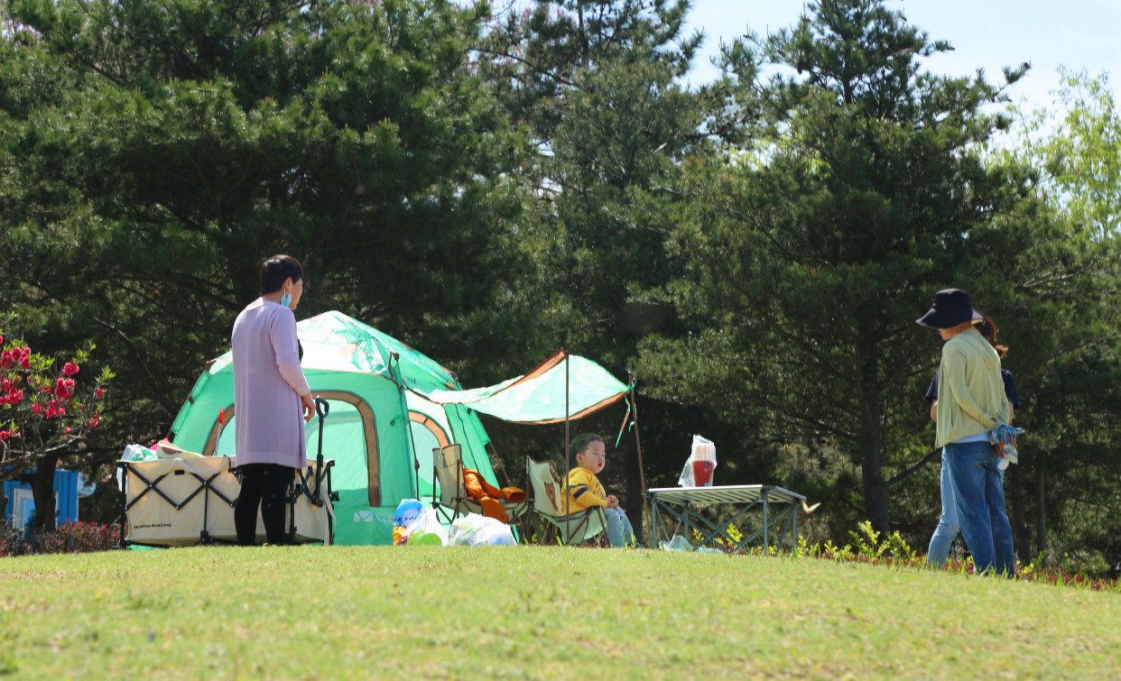 青龙湖公园网红打卡,丰台王佐青龙湖公园门票