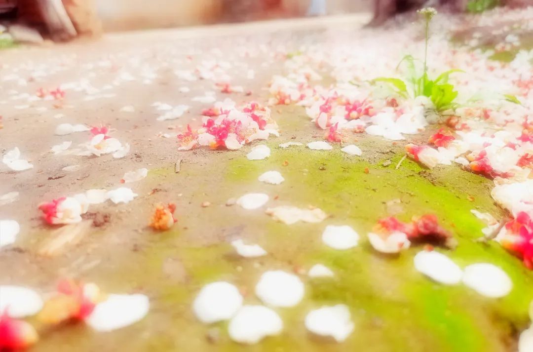 林深时见鹿溪午不闻钟李白,盘点李白最温柔的诗词