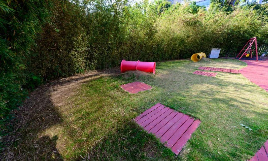 国际蒙氏幼儿园,深圳南山蒙氏幼儿园