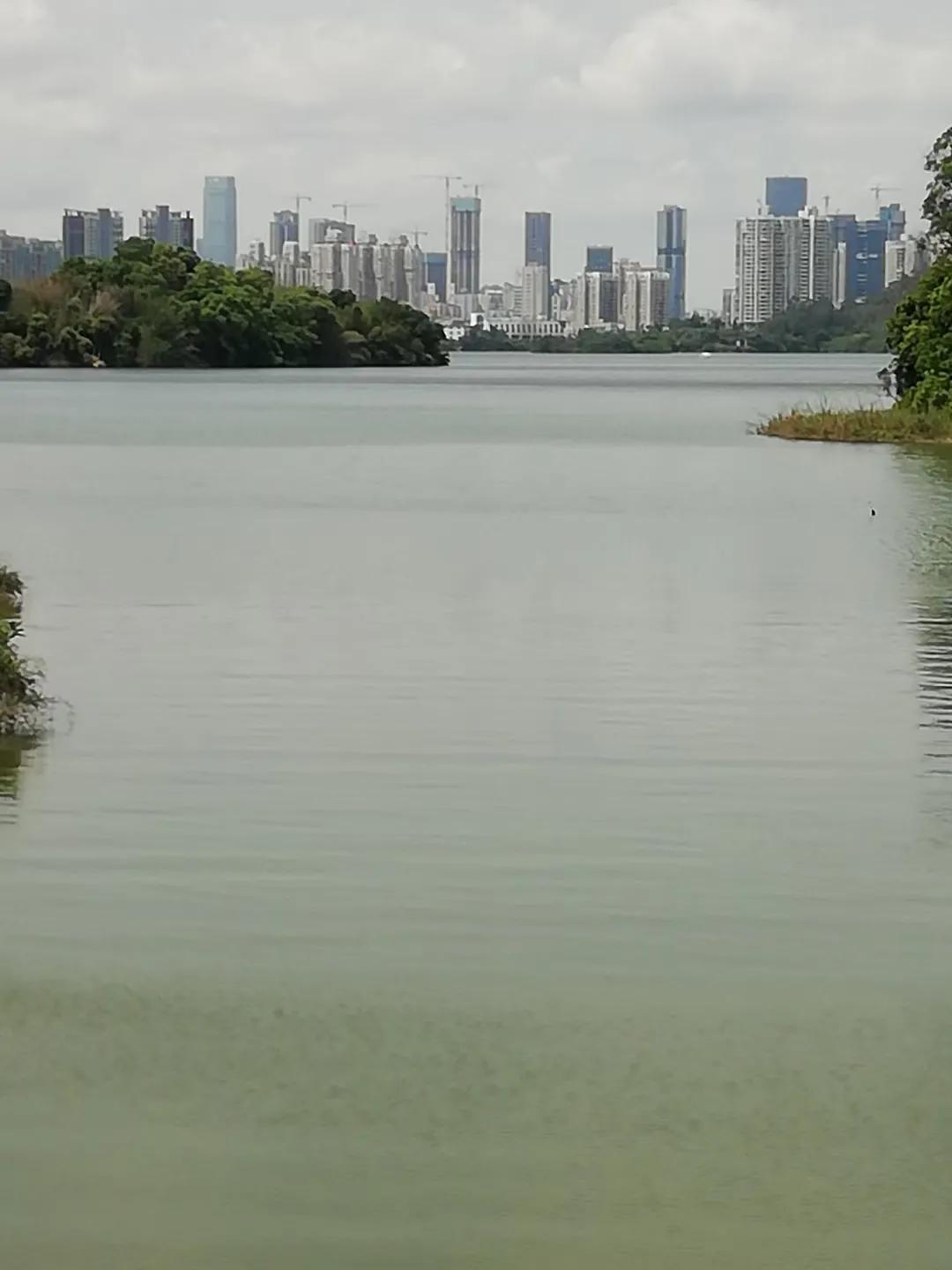 梧桐绿道东湖公园徒步,深圳梧桐绿道步行攻略