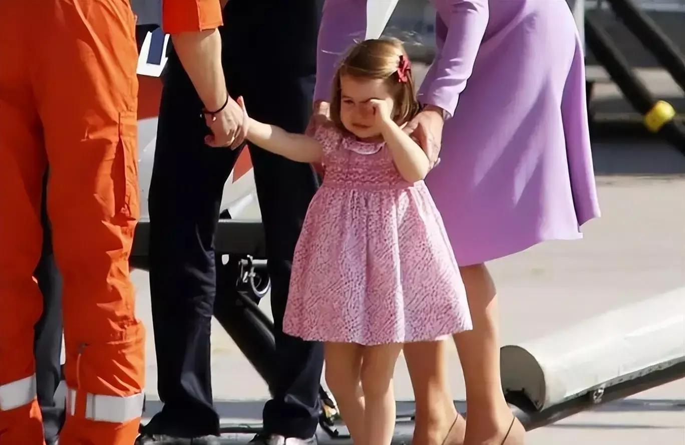 黑光计划是什么,黑光计划