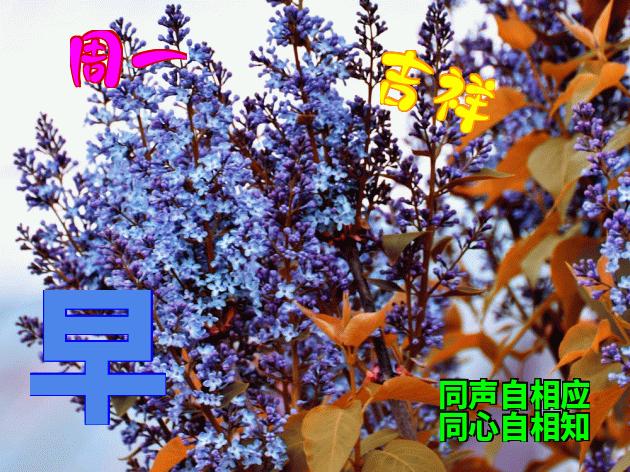 周五早安动态表情图片,早安表情动态图片大全