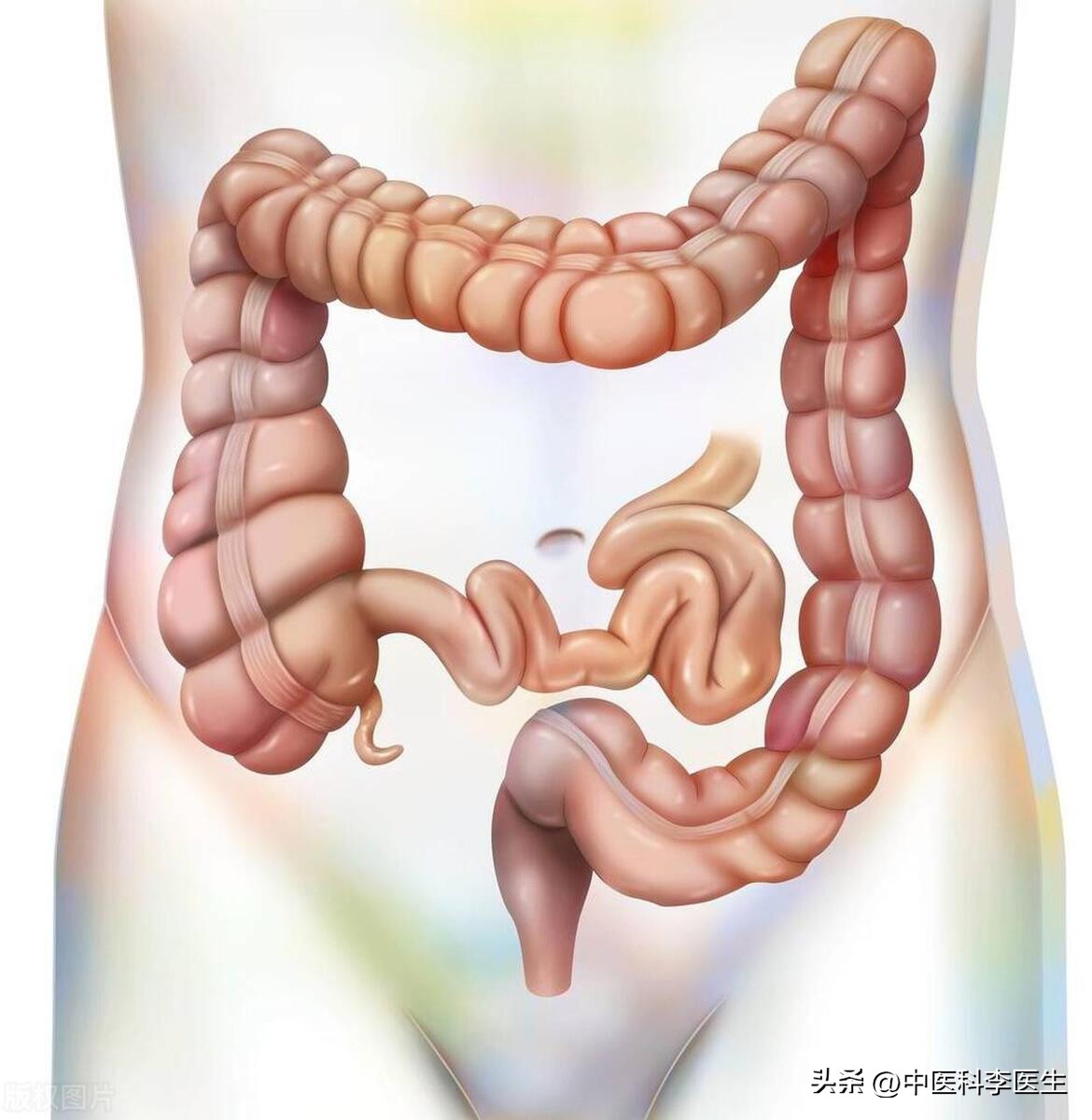 女性肛瘘手术恢复要几天,女子做肛瘘手术不尴尬吗