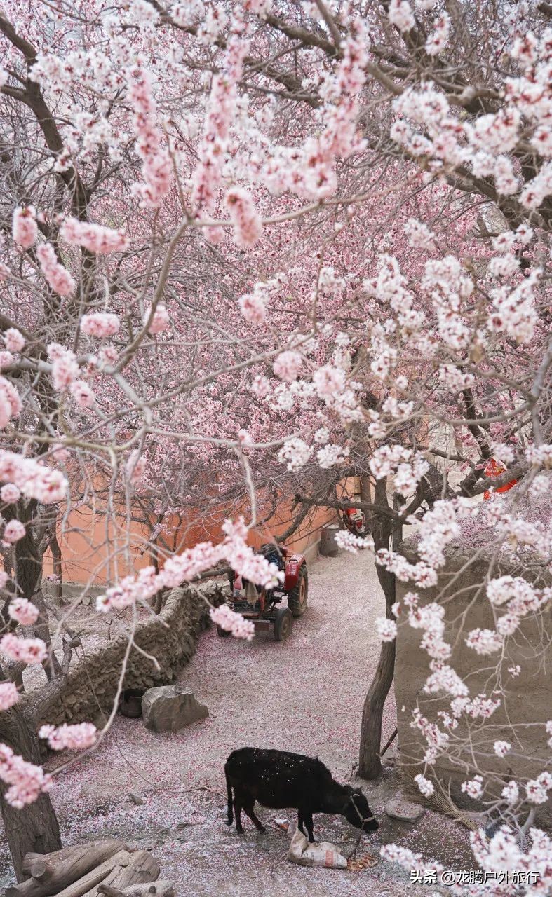 中国最美的古村寨,中国必打卡的56个民族古村寨