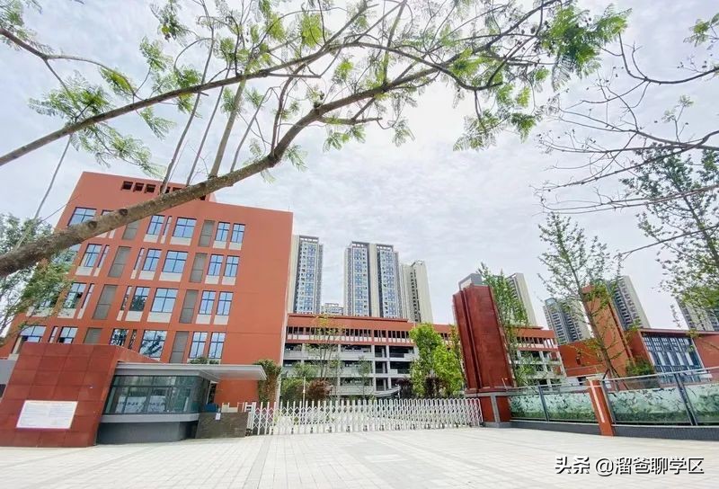 青羊新城哪个片区发展潜力大,青羊新城板块图