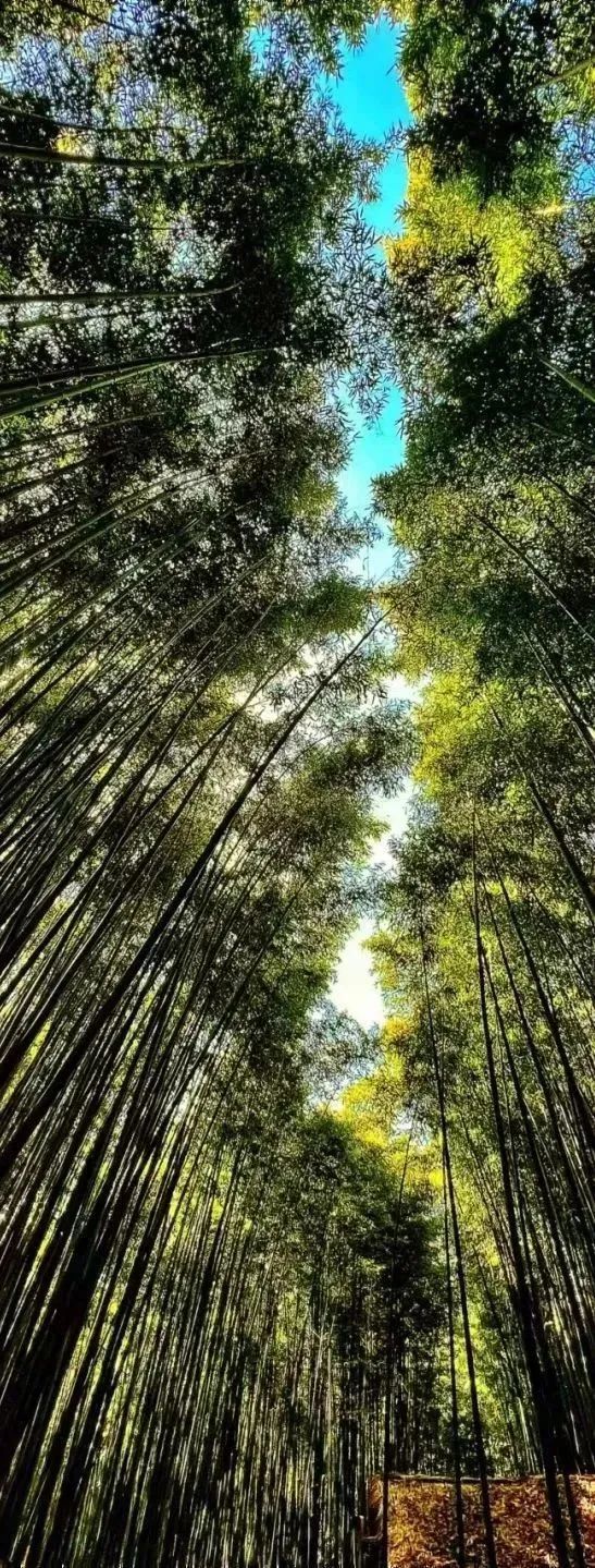 微度假美学生活,微度假慢生活轻养老