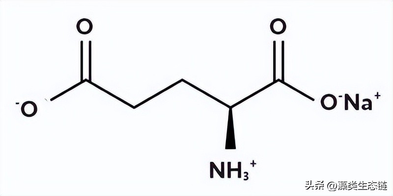 从池塘浮渣到产品:藻类化学