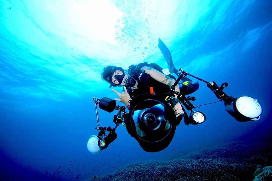 我在南极养企鹅,我在南极的日子