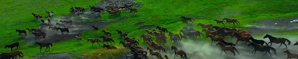 美国*伤杀**性*器武**赴台！台媒彻底“飘了”，嚣张放言称：敢打第一枪