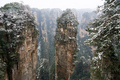 飞雪迎春山花烂漫,飞雪迎春绽玉蕊
