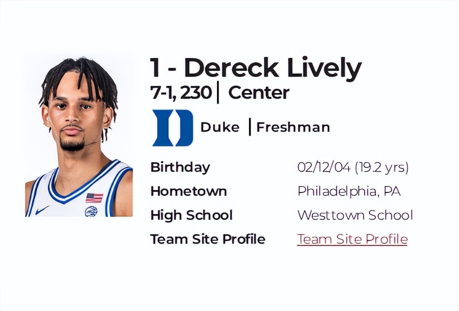 2023年nba选秀模板钱德勒,控卫福克斯