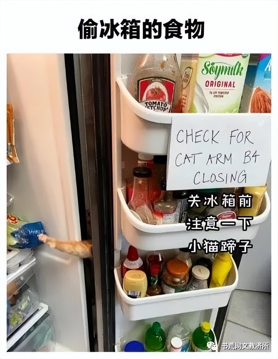 媒体足协对国脚纹身早有禁令,足协会禁止纹身吗