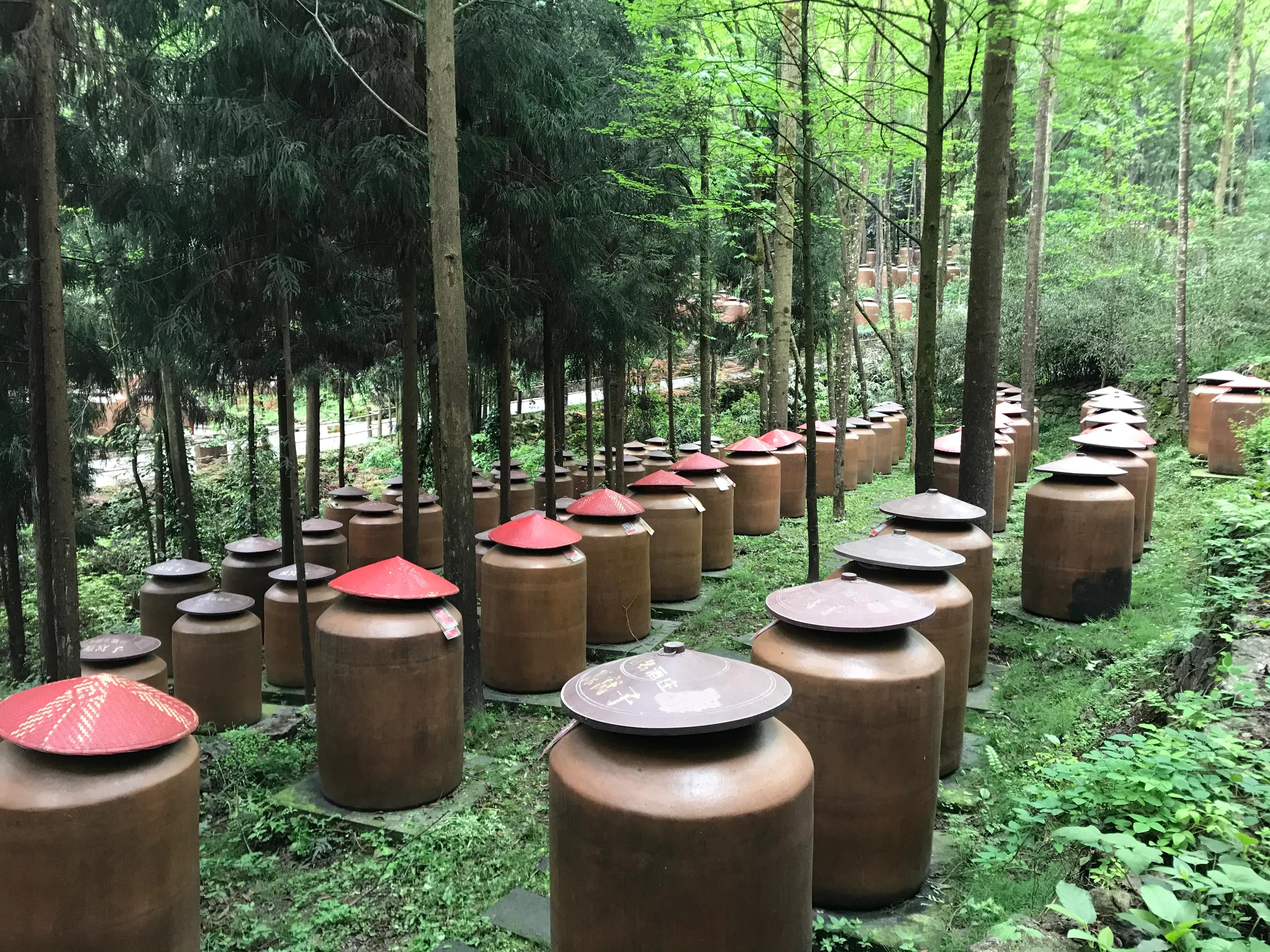 四川白酒产量和销量,四川白酒发展情况分析