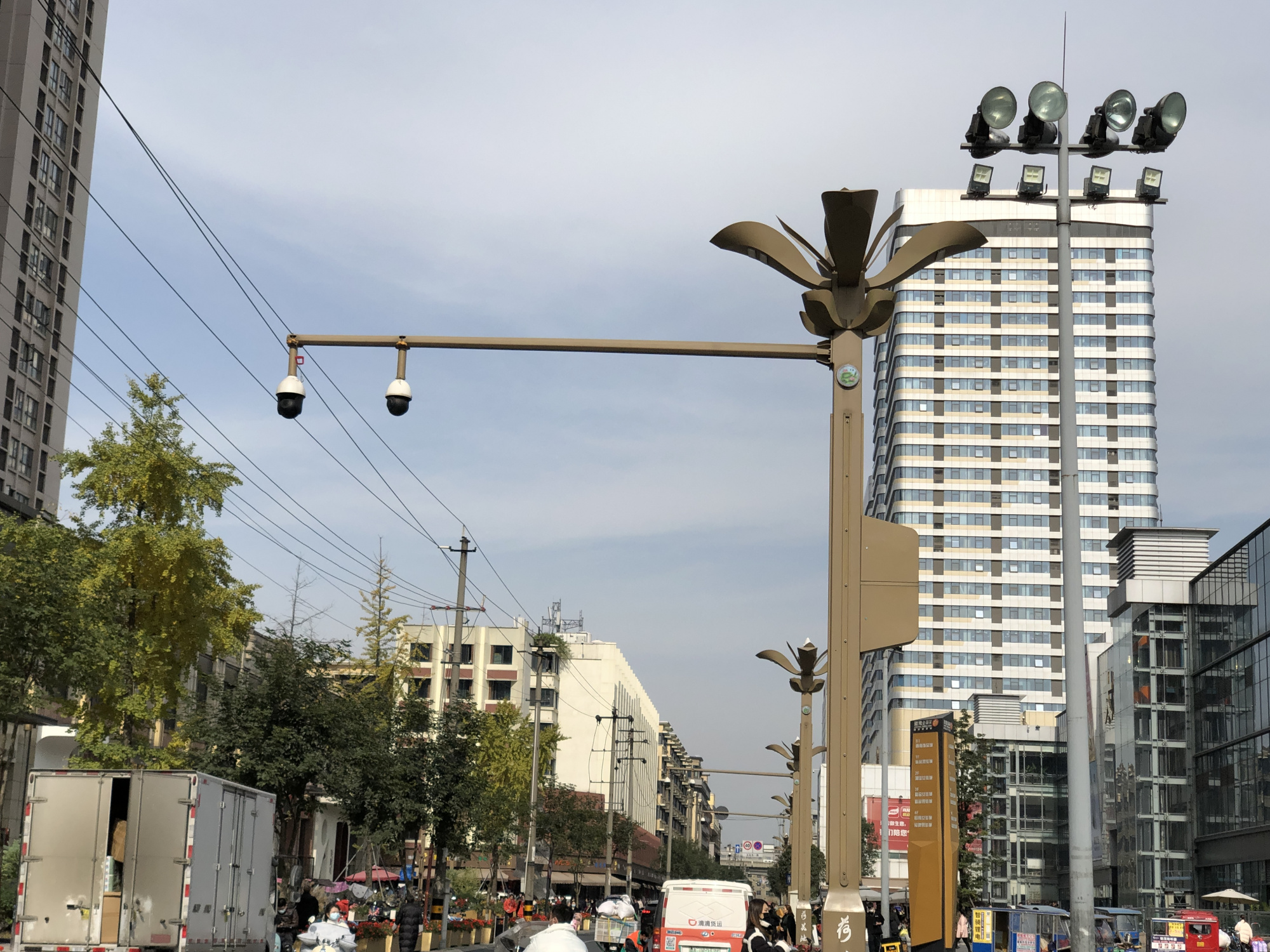 成都荷花池体验,成都荷花池哪些值得逛