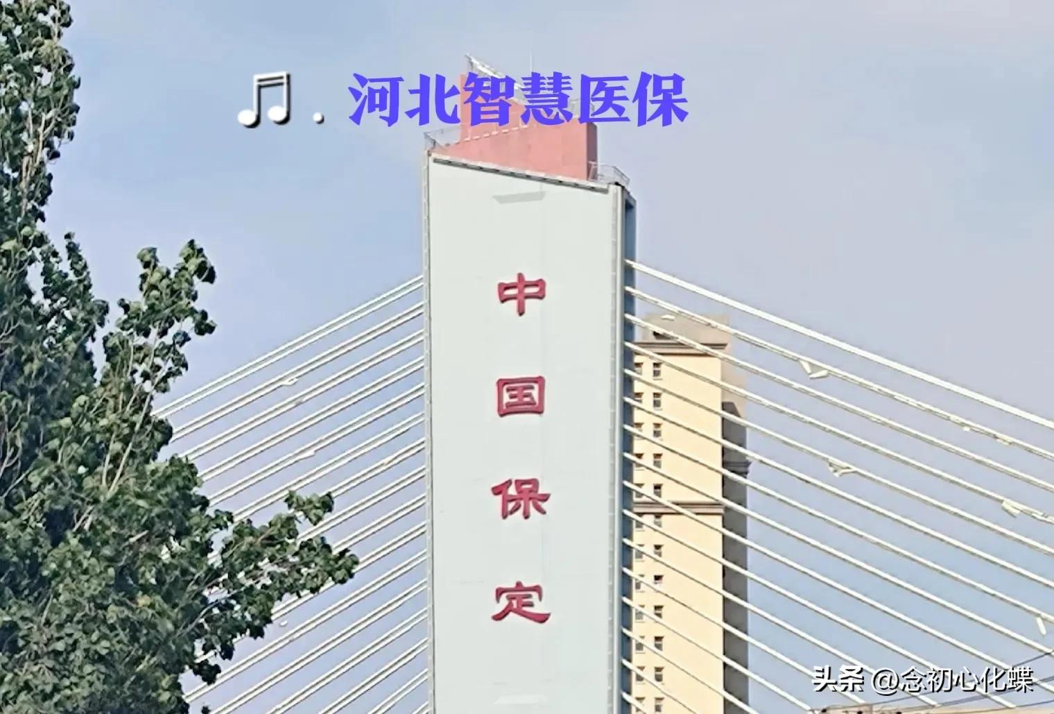 河北智慧医保中心24小时咨询电话,河北智慧医保认证成功后怎么给钱