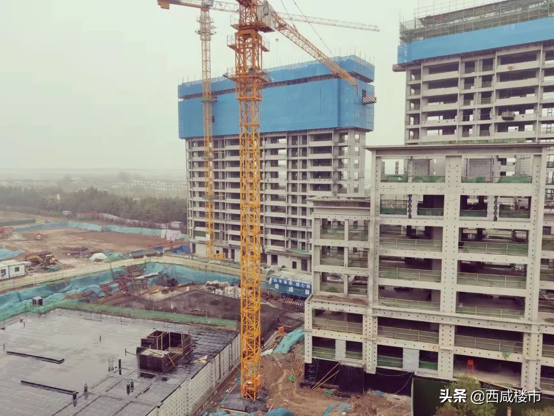 咸阳金科楼盘工程进度,咸阳所有在售楼盘价格