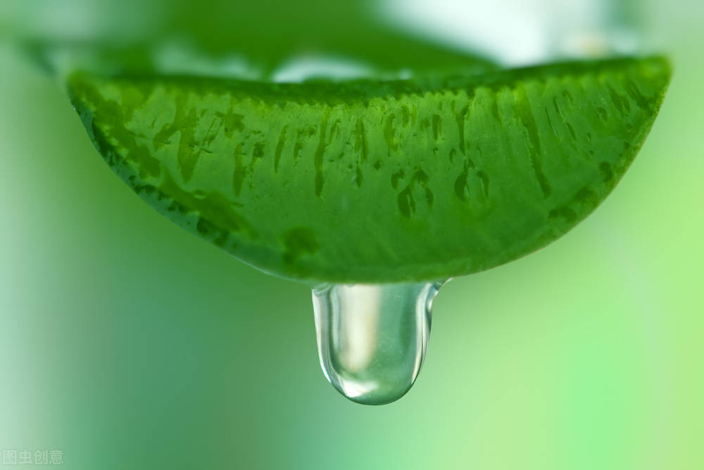 维生素e和芦荟胶的用法,芦荟胶做面膜的正确用法