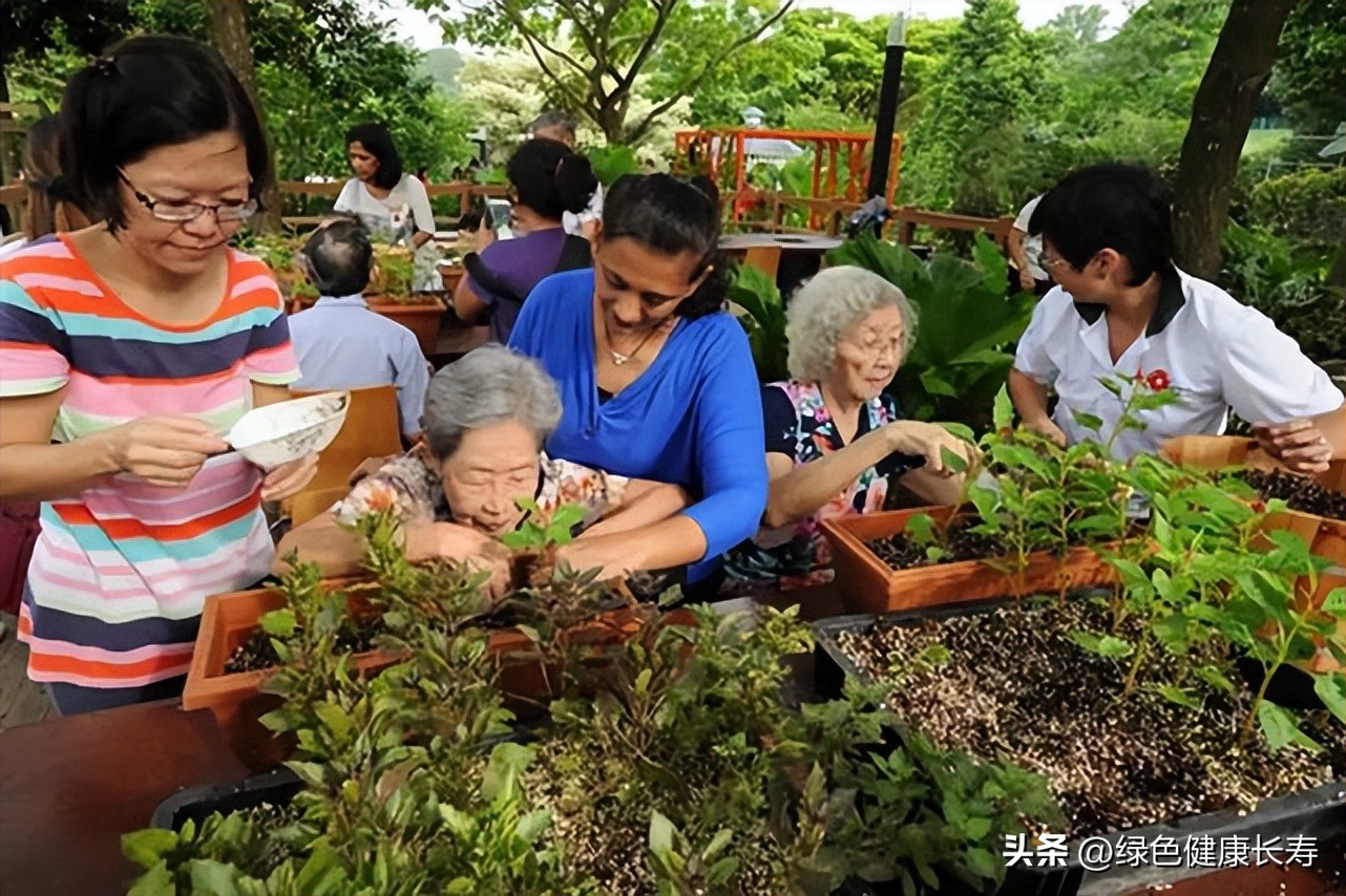 园艺疗法的主要对象,园艺治疗师前景