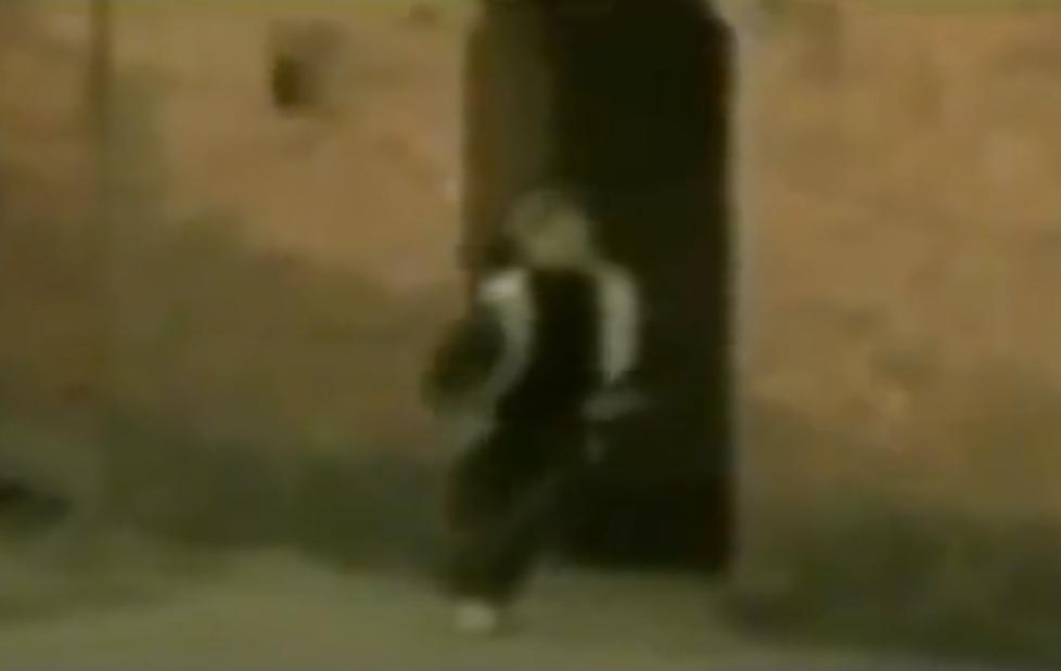 08年，河北女孩“瘫痪”卧床20年，姐姐安上监控后，戳穿多年*局骗**