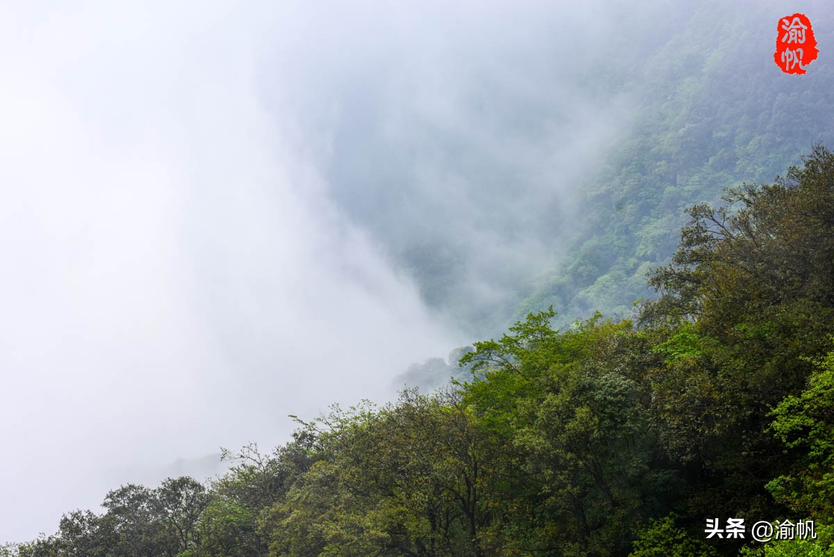 重庆的热门风景好的山,重庆哪座山最适合看城区风景