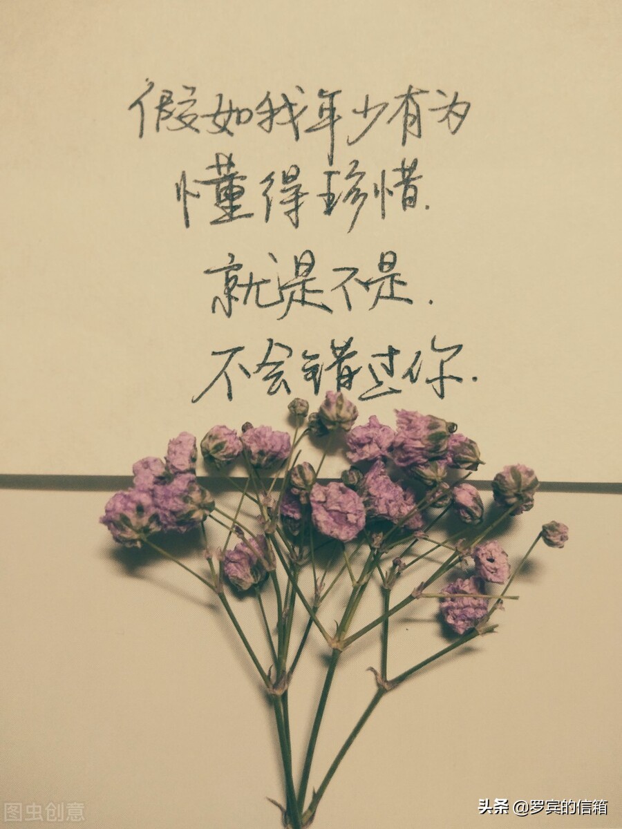 有那么多美好的事物在治愈着我们,美好的东西真的能治愈一切坏情绪