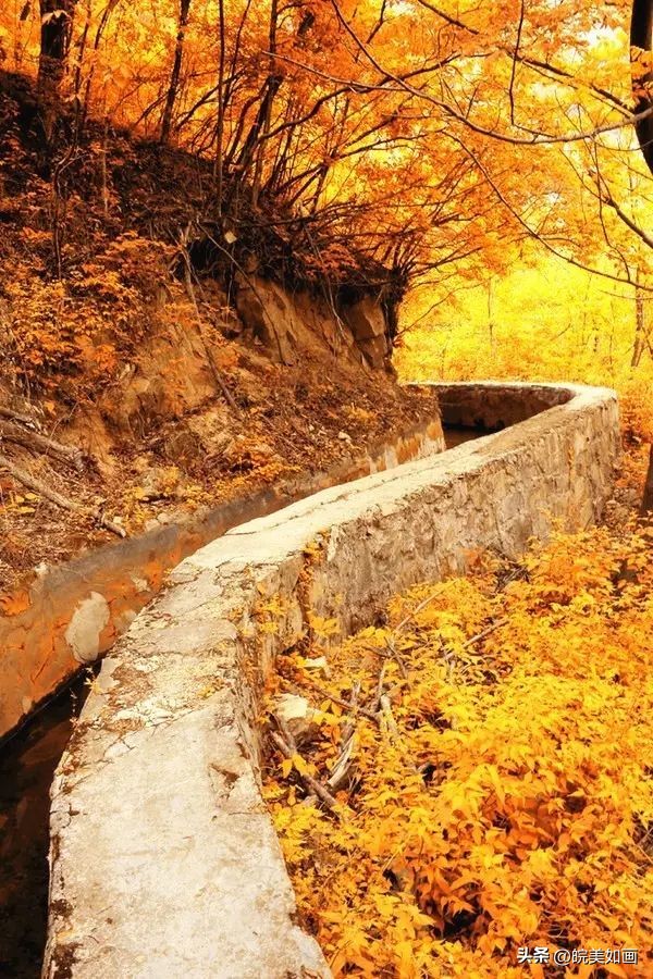 12月安徽值得旅游的地方,8月份适合旅游的安徽地方推荐