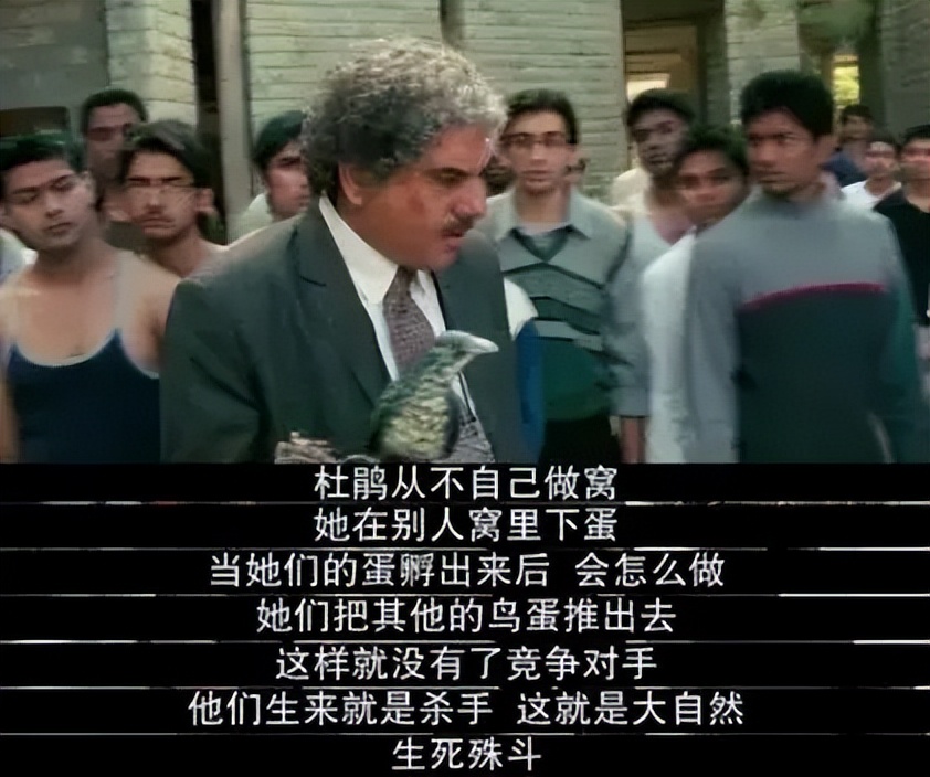 人们常说的三观是什么,我们平常所说的三观是什么呢