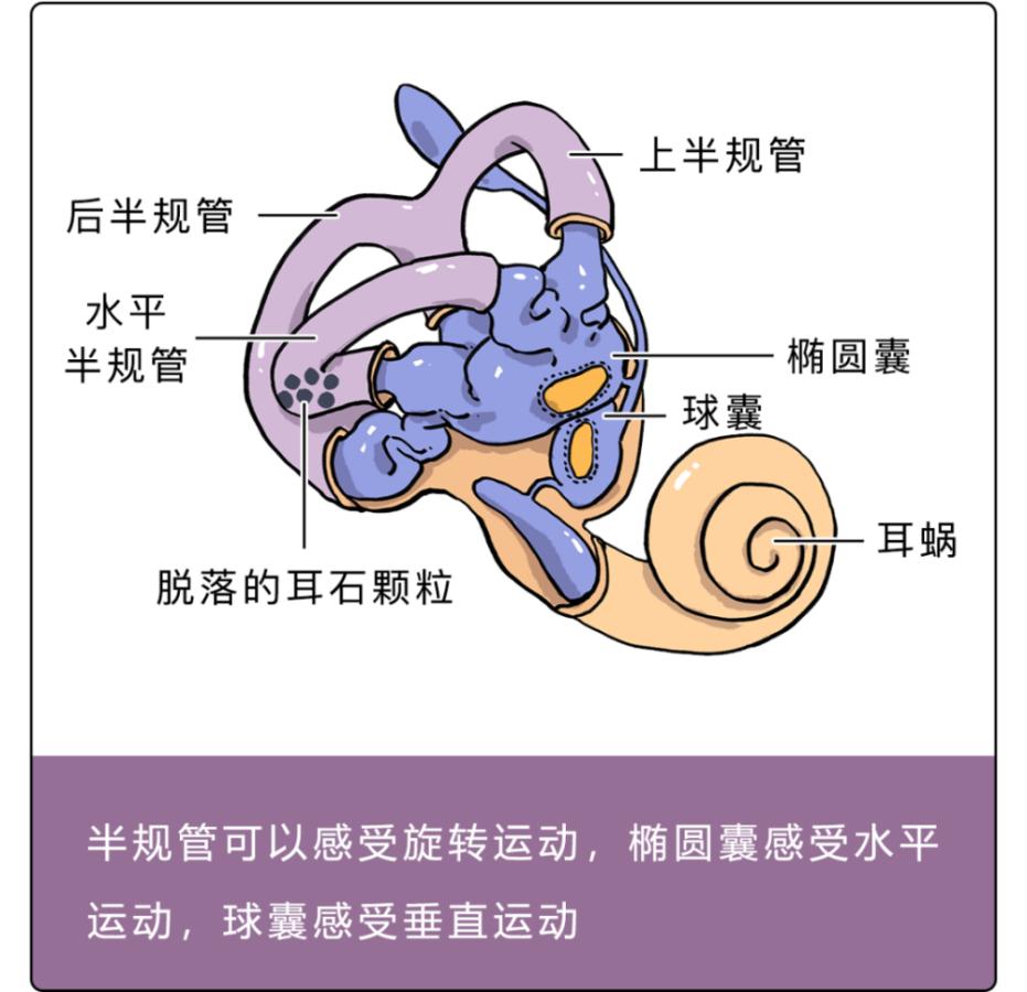 摆正位置，远离疾病！三种与体位相关的疾病，你了解多少