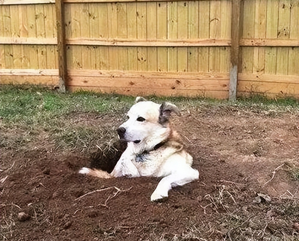 高价配件的“豪车套路”，让耿直的沃尔沃给改了？