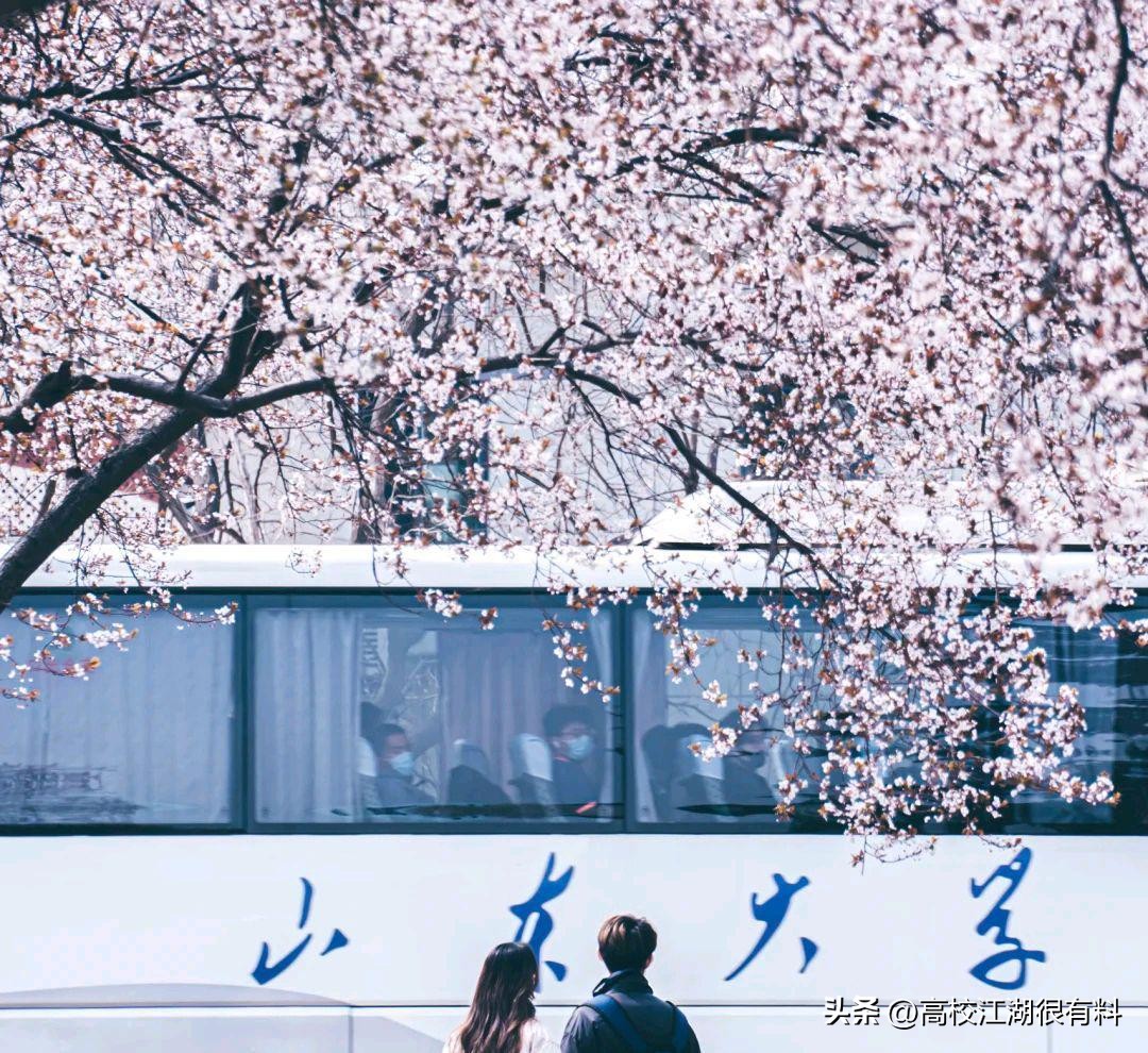 山东大学最近几年的发展,山东大学最后怎么样了