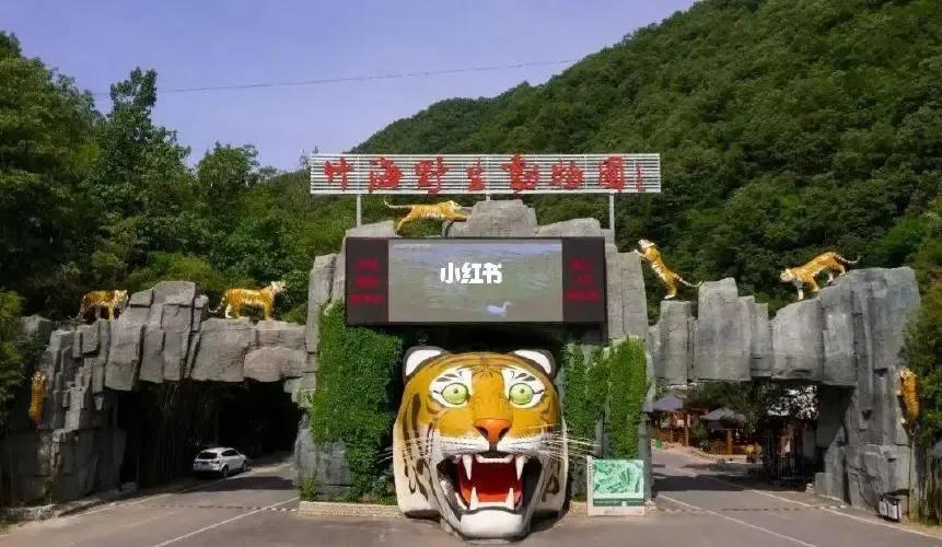 河南最大最好的动物园在哪,河南动物园十大排名平顶山动物园