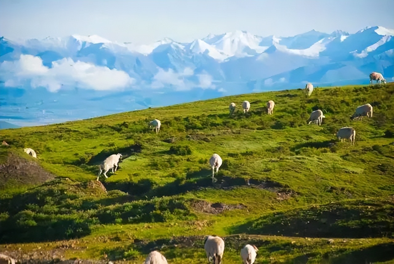暑假游玩5天推荐的好地方,暑假值得去的旅游地点