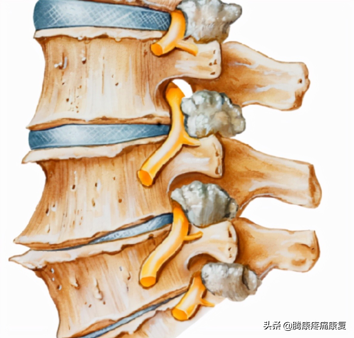 血压高脖子僵硬头胀痛怎么缓解,开车时间长脖子僵硬怎么缓解