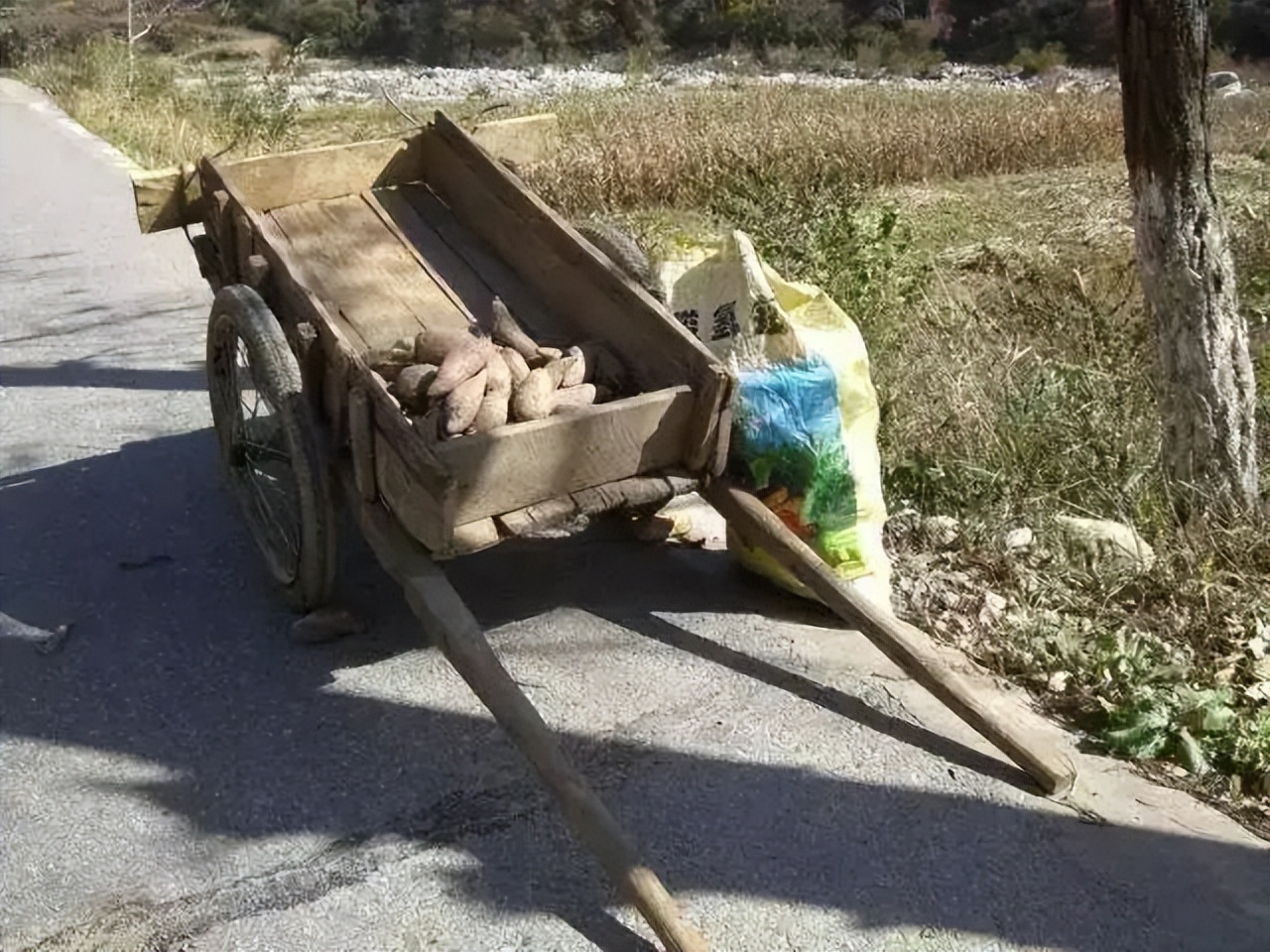 身无分文没钱吃饭怎么生存下来,身无分文怎么办没有饭吃