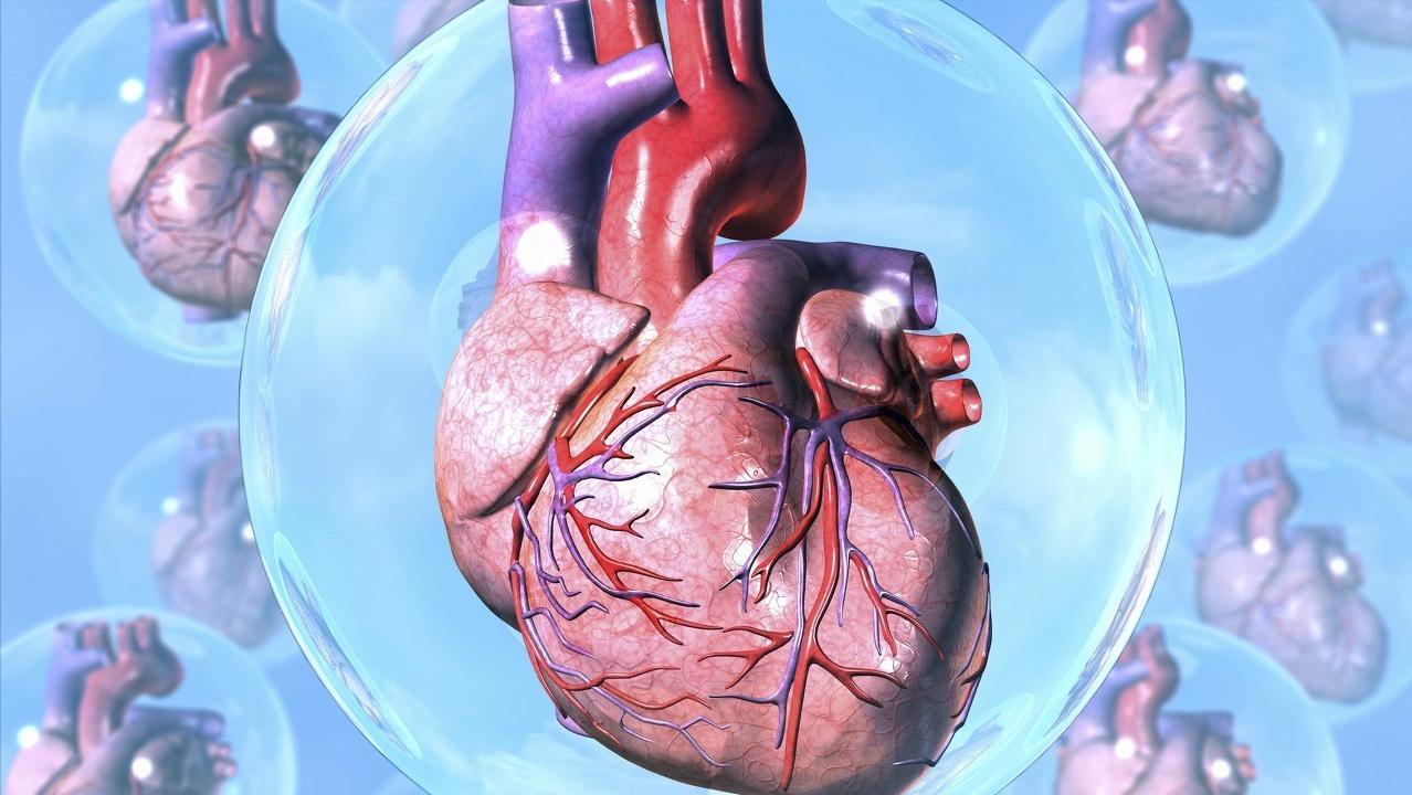 先心病感染严重吗,先心病引起的心衰能治愈吗