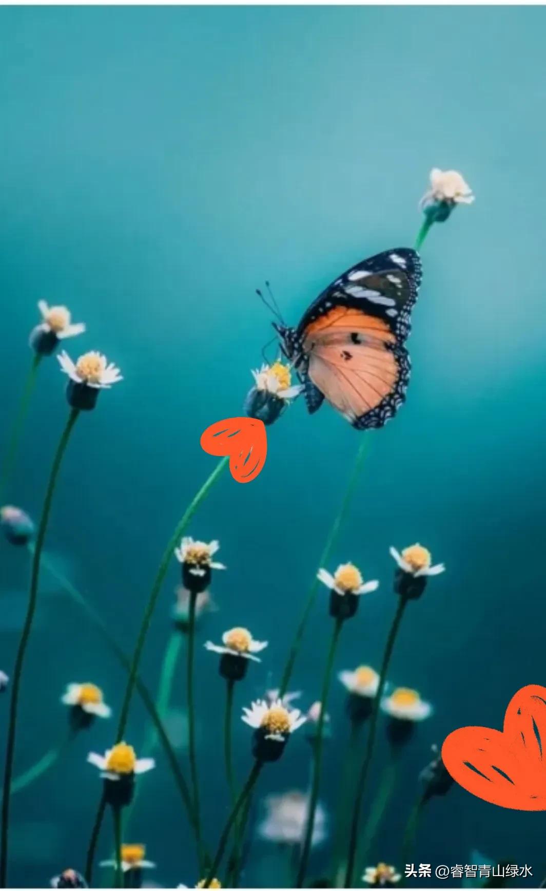 让我痴，让我醉，让我爱你没商量。