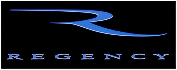 美国电影最大投资公司,美国制片公司