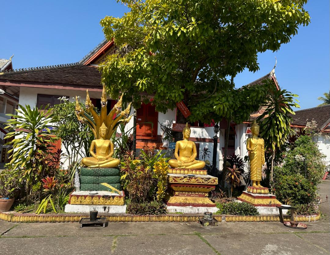 乘坐高铁去老挝最全通关攻略,中老铁路可以去老挝旅游吗