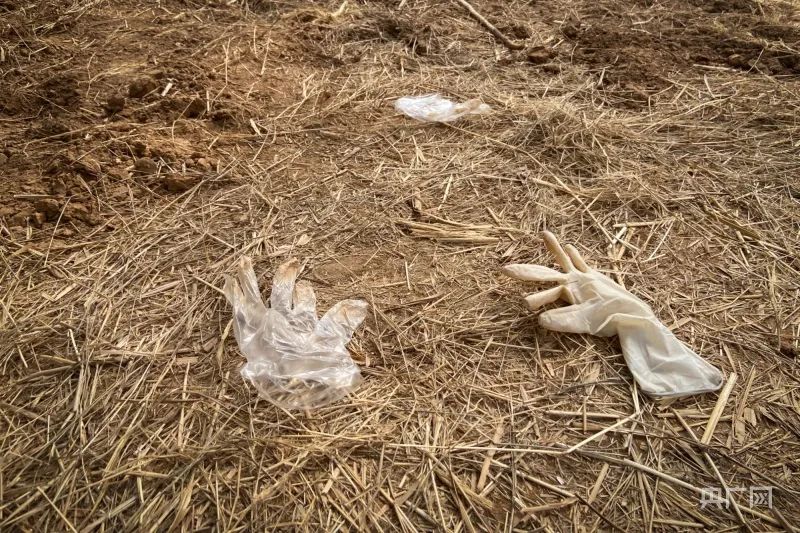 邯郸遇害初中生学校否认校园霸凌,邯郸遇害初中生学校称无霸凌行为