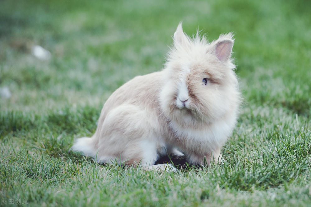 相亲遇到小气男,相亲遇到屌丝男