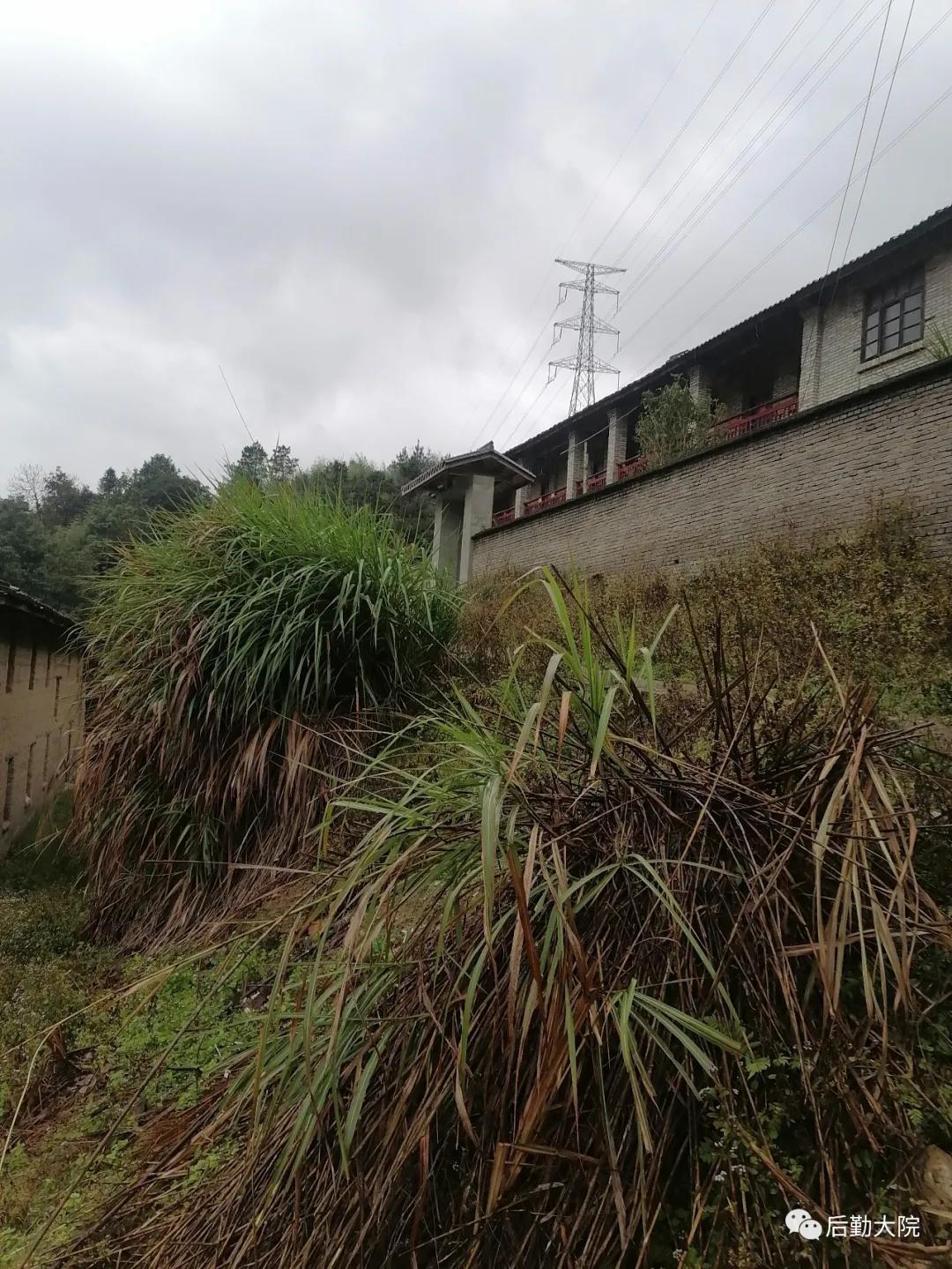 知青点的村支书叫“依派”